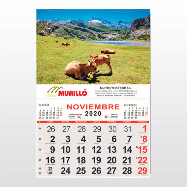 Calendario desechable